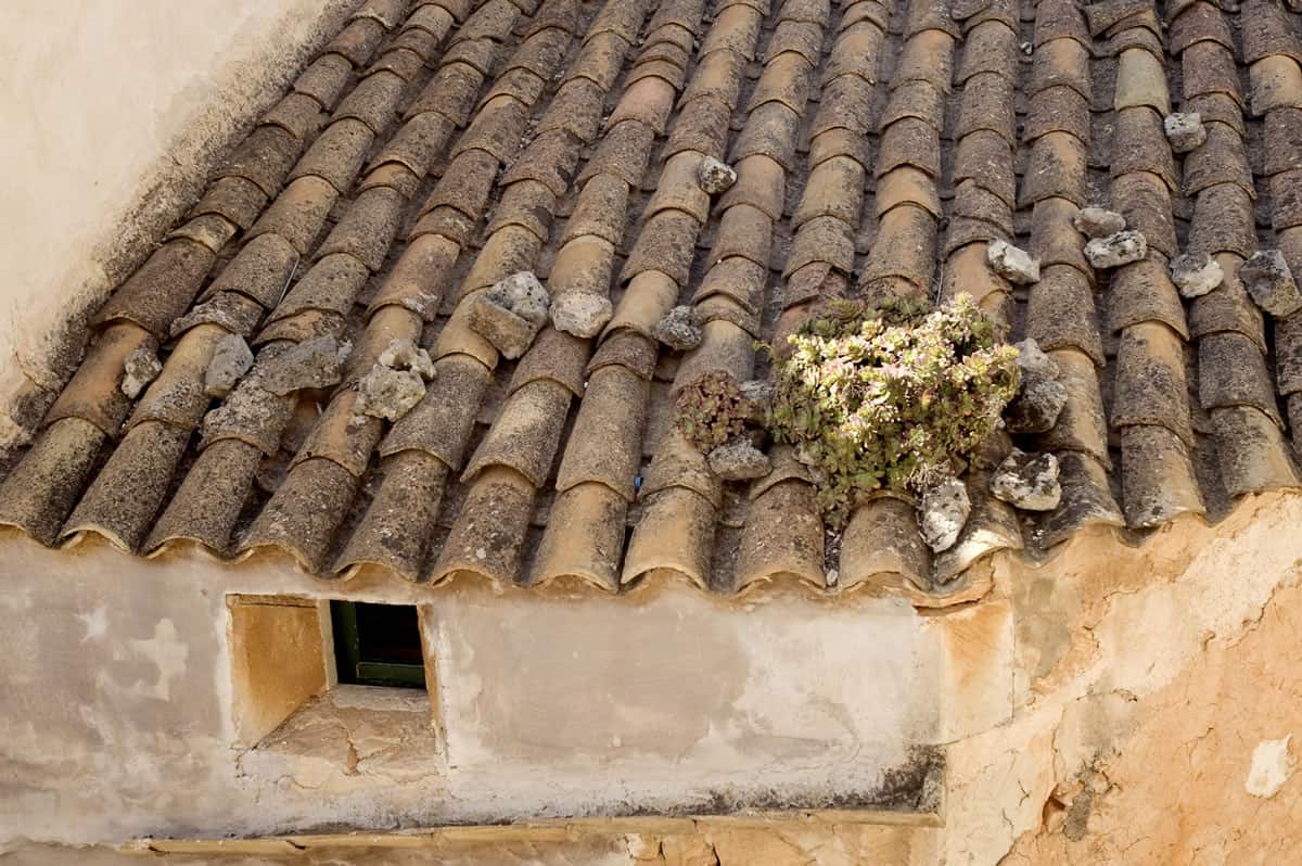s’Hotelet de Santanyi-40-1 Kind Design